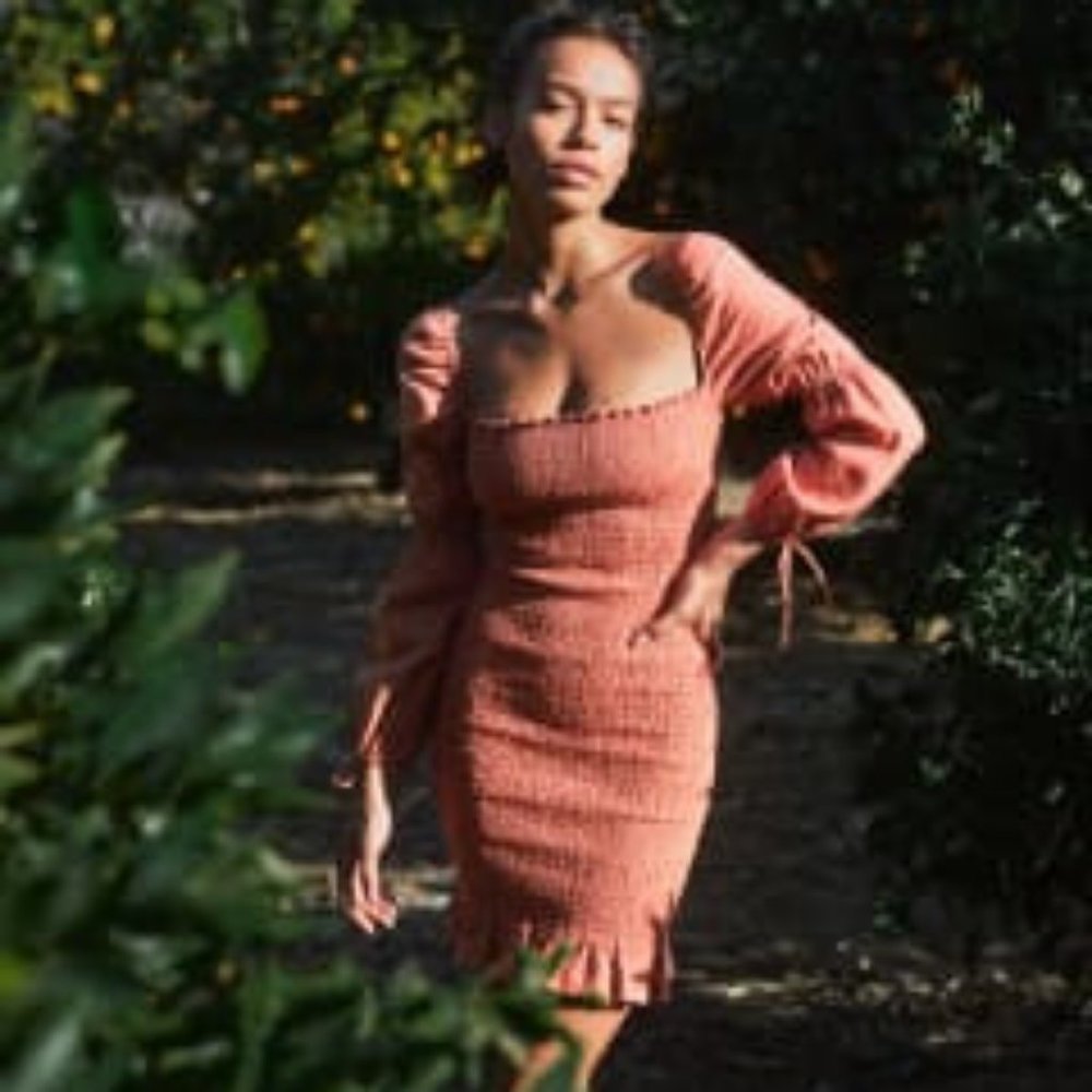 Reformation Hilary Dress-New with Tags